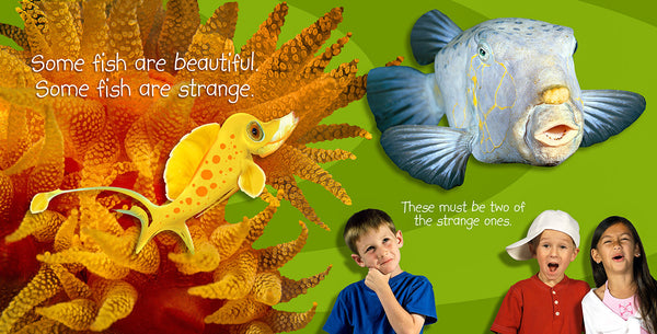 beautiful and strange fish photos