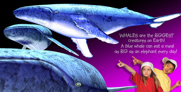 whales are the biggest creatures